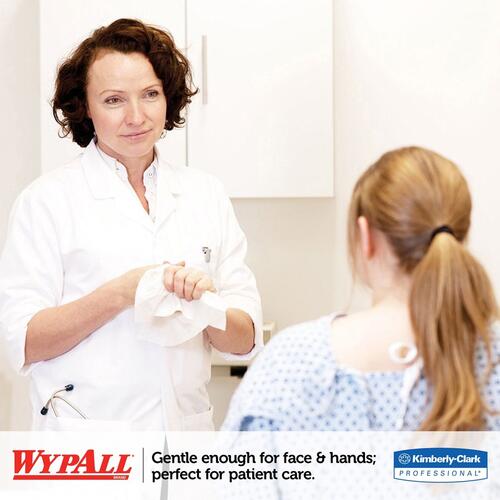 WypAll L40 All-Purpose Wipers (05701PK)