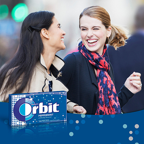 Orbit Peppermint Sugarfree Gum - 12 packs (21486)