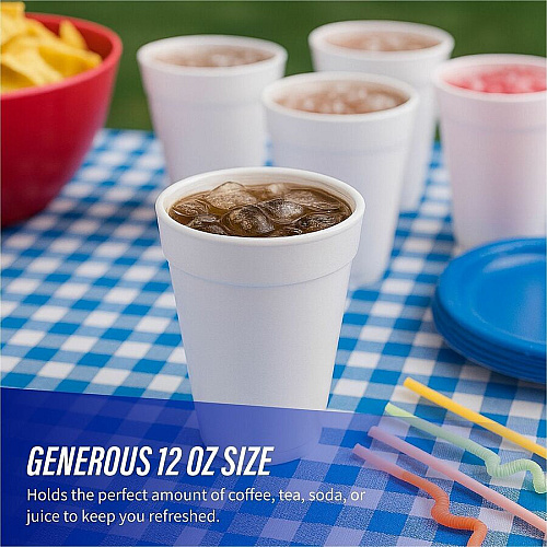 Genuine Joe 12 oz Hot/Cold Foam Cups (58552)