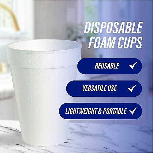 Genuine Joe 12 oz Hot/Cold Foam Cups (58552)