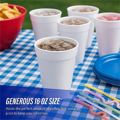 Genuine Joe 16 oz Hot/Cold Foam Cups (58554)