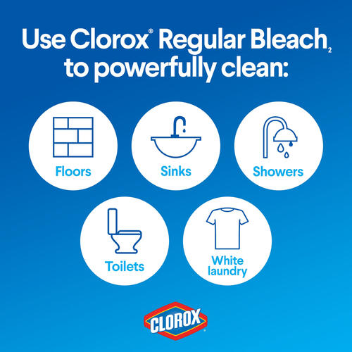 Clorox Regular-Bleach Concentrated