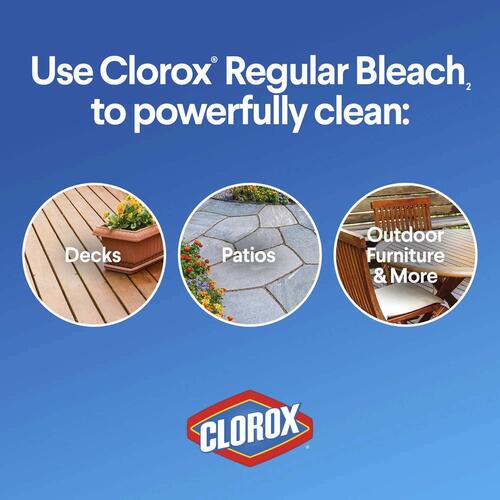 Clorox Regular-Bleach Concentrated (30769EA)