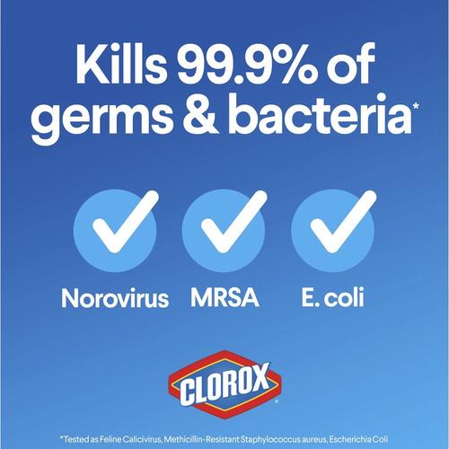 Clorox Regular-Bleach Concentrated (30769EA)