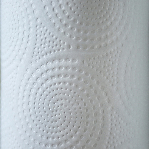 Genuine Joe Kitchen Roll Flexible Size Towels (24081)
