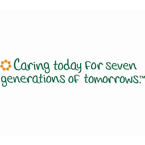 Seventh Generation Purely Clean Hand Wash (22924)
