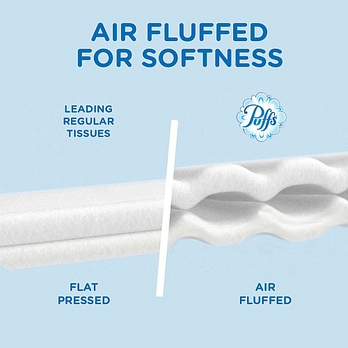 Puffs Basic Facial Tissues (87615)