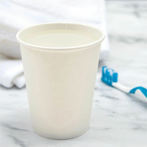 SOLO 10 oz Paper Hot Cups (370W2050)