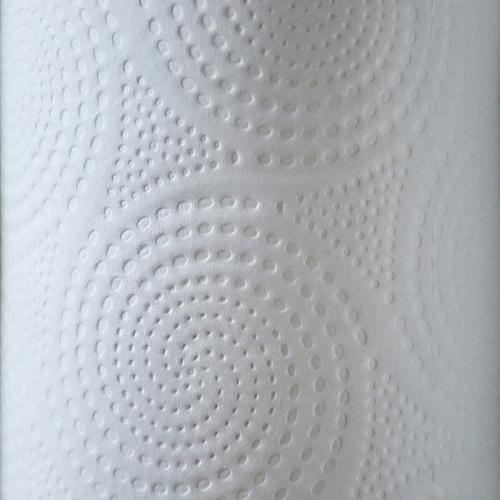 Genuine Joe Kitchen Roll Flexible Size Towels (24085)