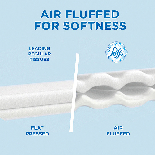 Puffs Basic Facial Tissues (87615)