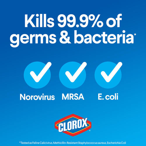 Clorox Disinfecting Bleach, Regular