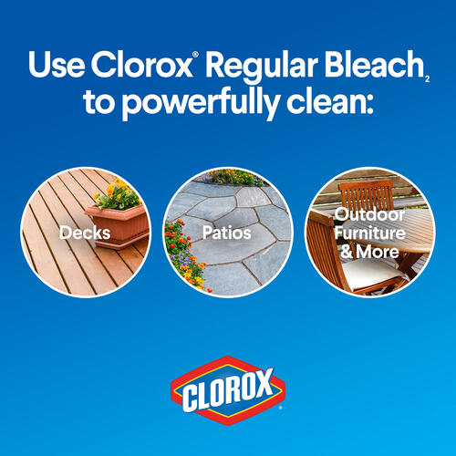 Clorox Disinfecting Bleach, Regular