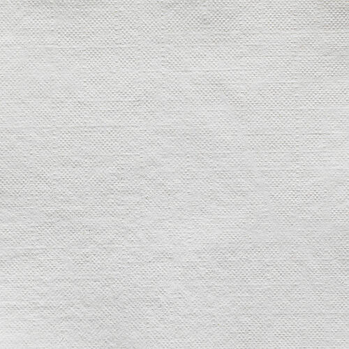Georgia Pacific Georgia Pacific Acclaim Economical BevNaps (96019CT)