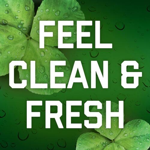 Irish Spring Irish Spring Original Bar Soap (14177)