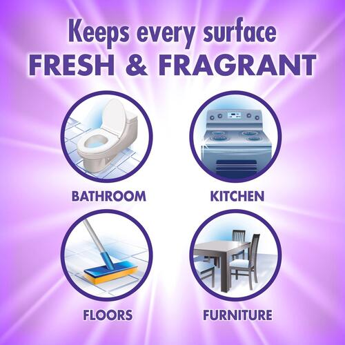 Fabuloso All Purpose Cleaner (53058)