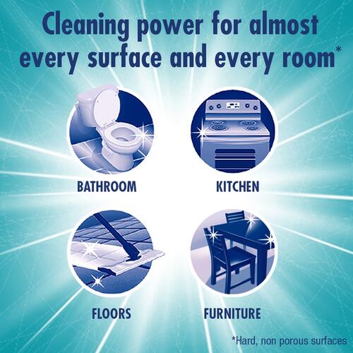 Fabuloso All Purpose Cleaner (53106)