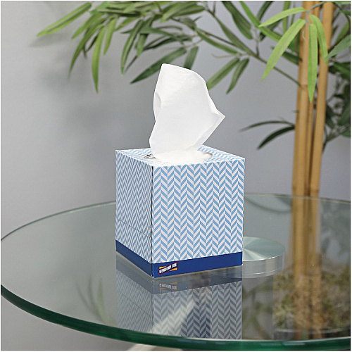 Genuine Joe Cube Box Facial Tissue (26085PL)