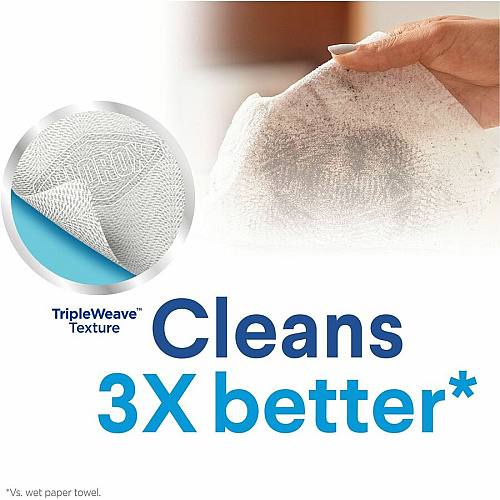 Clorox Disinfecting Cleaning Wipes (01594PL)