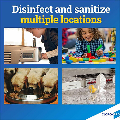 CloroxPro™ Anywhere Daily Disinfectant and Sanitizer (01698PL)