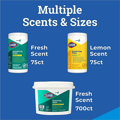 CloroxPro™ Disinfecting Wipes (15948PL)