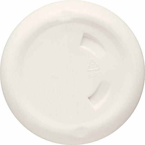 CloroxPro™ Bleach Cream Cleanser (30613PL)