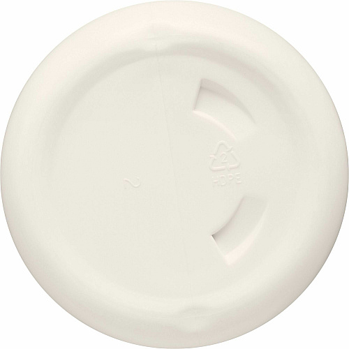 CloroxPro™ Bleach Cream Cleanser (30613PL)