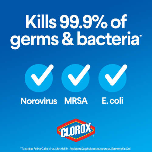 Clorox Disinfecting Bleach, Regular (30769PL)