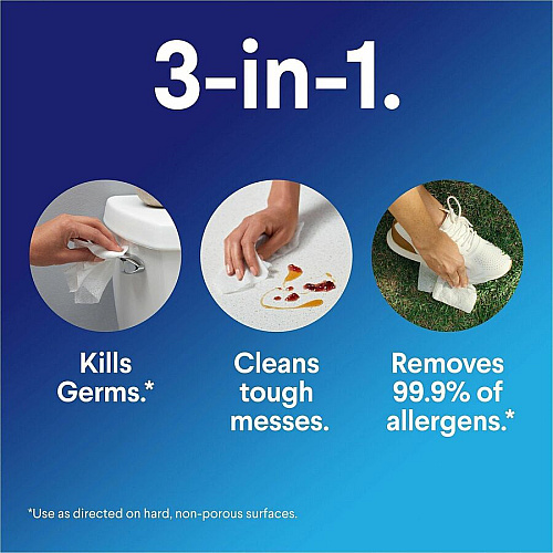 Clorox Disinfecting Cleaning Wipes Flex Pack (31430PL)