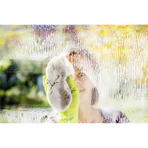 Formula 409 Glass & Surface Cleaner Spray