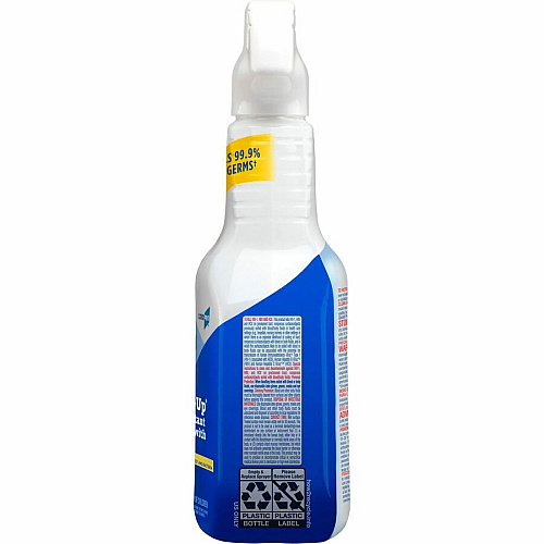 CloroxPro™ Clean-Up Disinfectant Cleaner Spray with Bleach (35417BD)