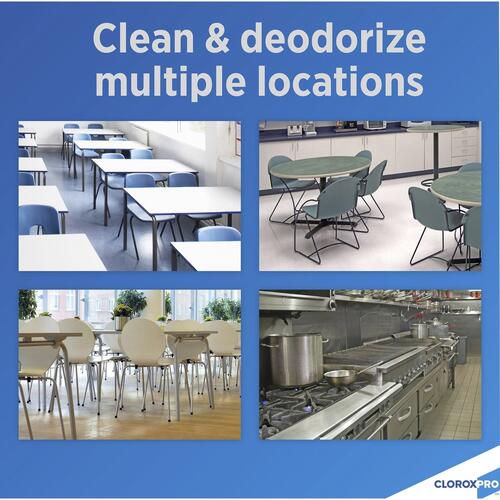 Pine-Sol Multi-Surface Cleaner - CloroxPro (35418BD)