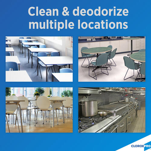 Pine-Sol Multi-Surface Cleaner - CloroxPro (35418BD)