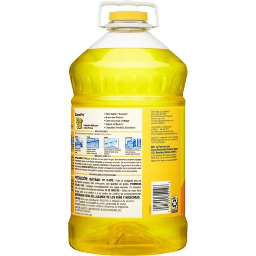 Pine-Sol All Purpose Cleaner - CloroxPro (35419BD)