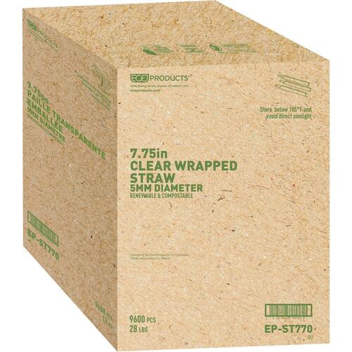 Eco-Products Unwrapped Jumbo Paper Straws (EPSTP76UWH)