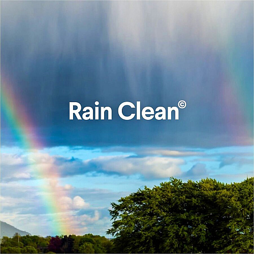 Clorox Clean-Up Multi-Surface Cleaner with Bleach (30197)