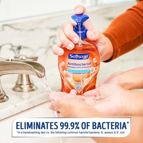 Softsoap Crisp Clean Liquid Hand Soap (05261CT)