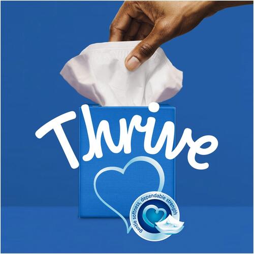 Kleenex Trusted Care Facial Tissue, 2-Ply, White, 144 Sheets/Box, 3 Boxes/Pack, 12 Packs/Carton (50219)