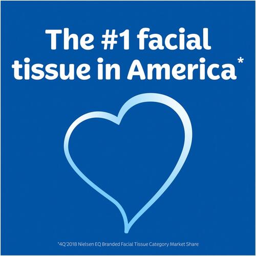 Kleenex Trusted Care Facial Tissue, 2-Ply, White, 144 Sheets/Box, 3 Boxes/Pack, 12 Packs/Carton (50219)