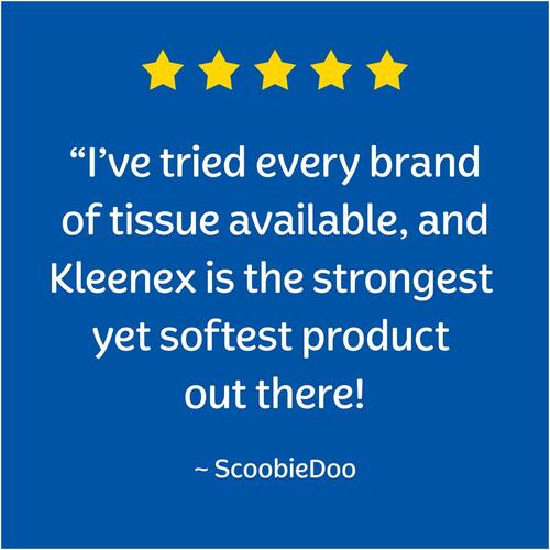 Kleenex Trusted Care Facial Tissue, 2-Ply, White, 144 Sheets/Box, 3 Boxes/Pack, 12 Packs/Carton (50219)