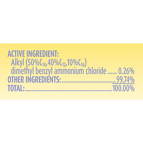 Lysol Dual Action Wipes (81143CT)