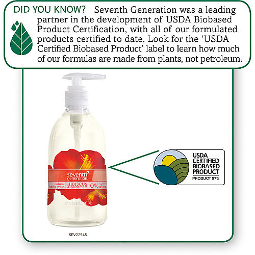 Seventh Generation Hand Wash (22945CT)