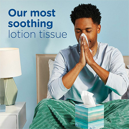 Puffs Plus Lotion Facial Tissue (39383)