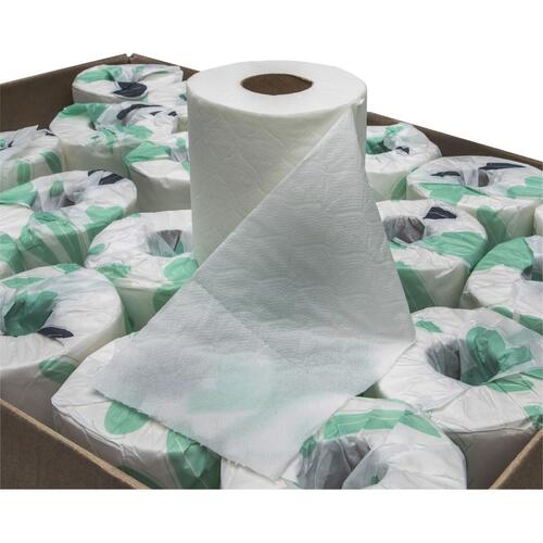 Special Buy 2-ply Bath Tissue (00900)