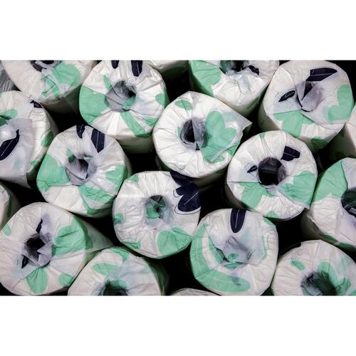 Special Buy 2-ply Bath Tissue (00500)