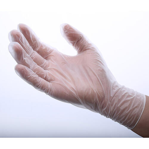 Special Buy Disposable Vinyl Gloves (03425)