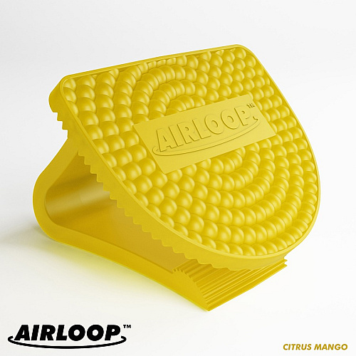 Vectair Systems Airloop Toilet Bowl Clip Air Freshener (LOOPCIT)