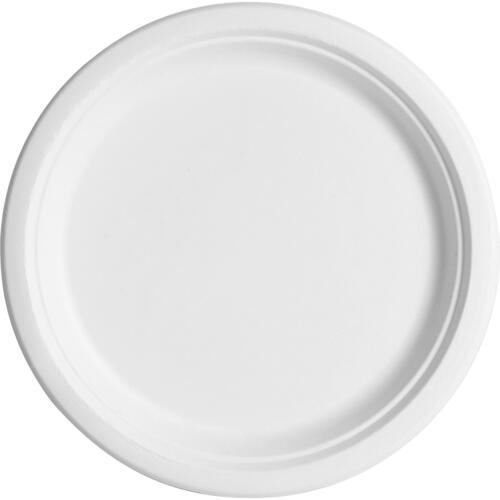 Eco-Products Sugarcane Plates (EPP005P)