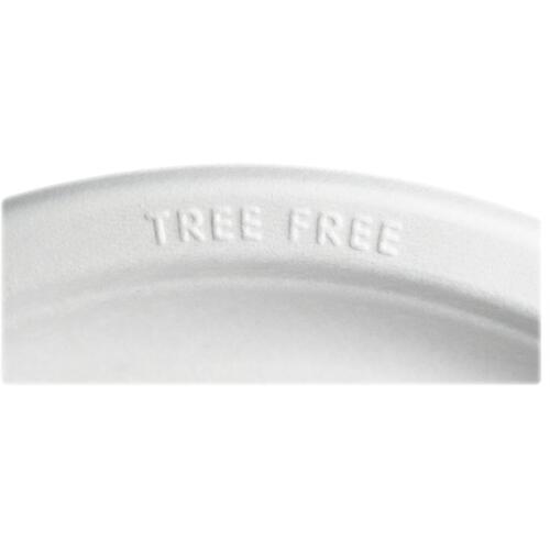 Eco-Products Sugarcane Plates (EPP016P)