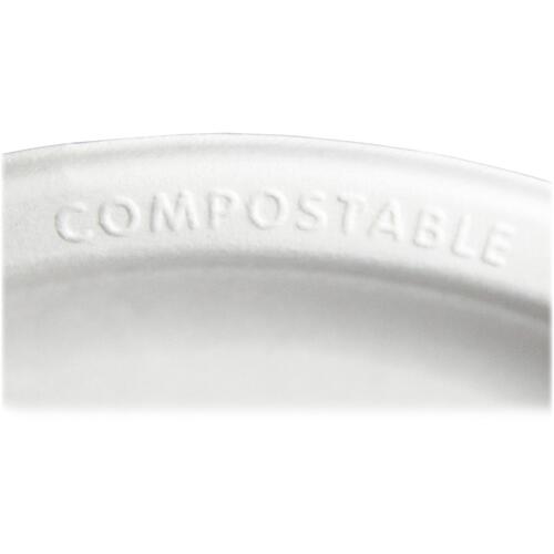 Eco-Products Sugarcane Plates (EPP016P)