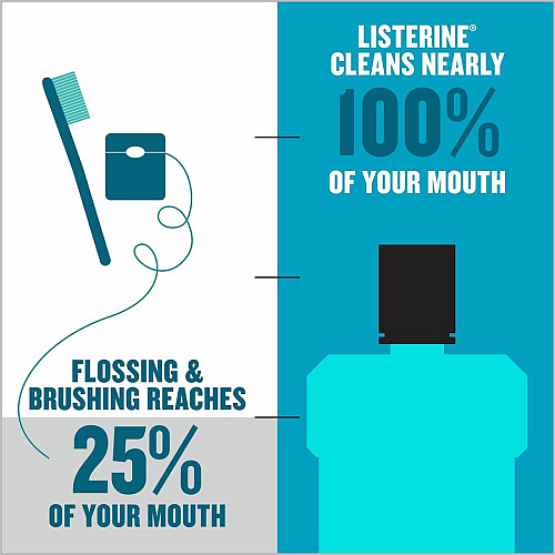 LISTERINE Cool Mint Antiseptic Mouthwash (42735)